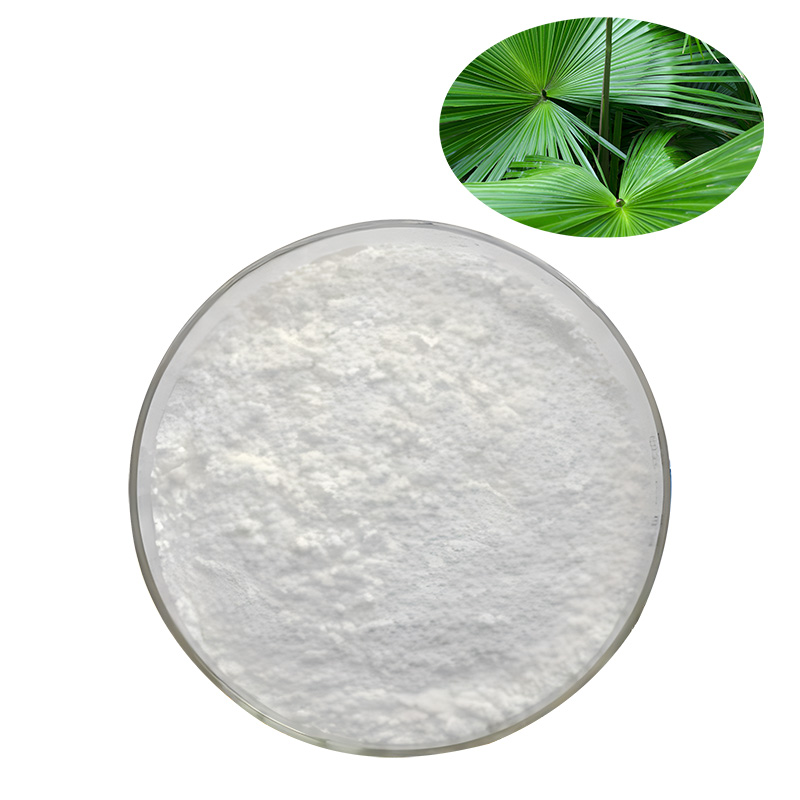 Saw Palmetto Extract