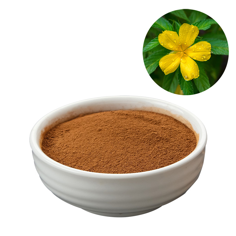 Damiana Extract for Skin Vitality and Antioxidant Use