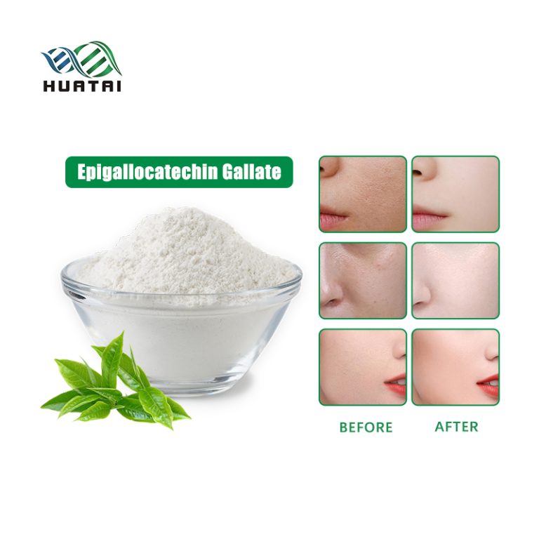 Epigallocatechina gallato