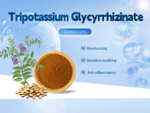 Fornitore di glicirrizinato tripotassico