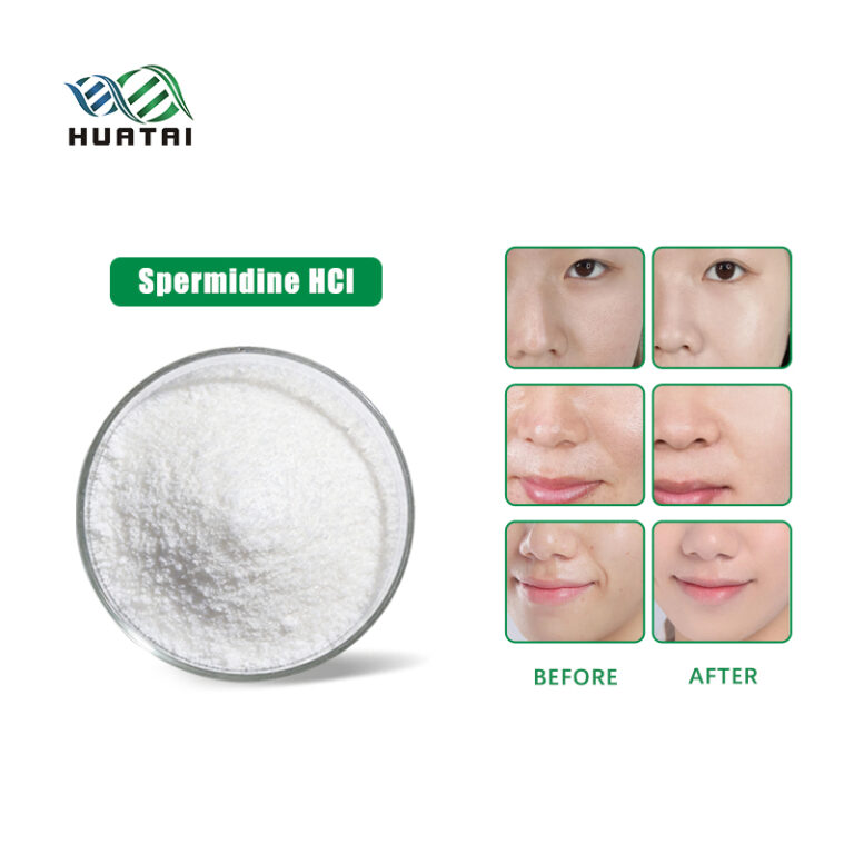 Spermidine HCl