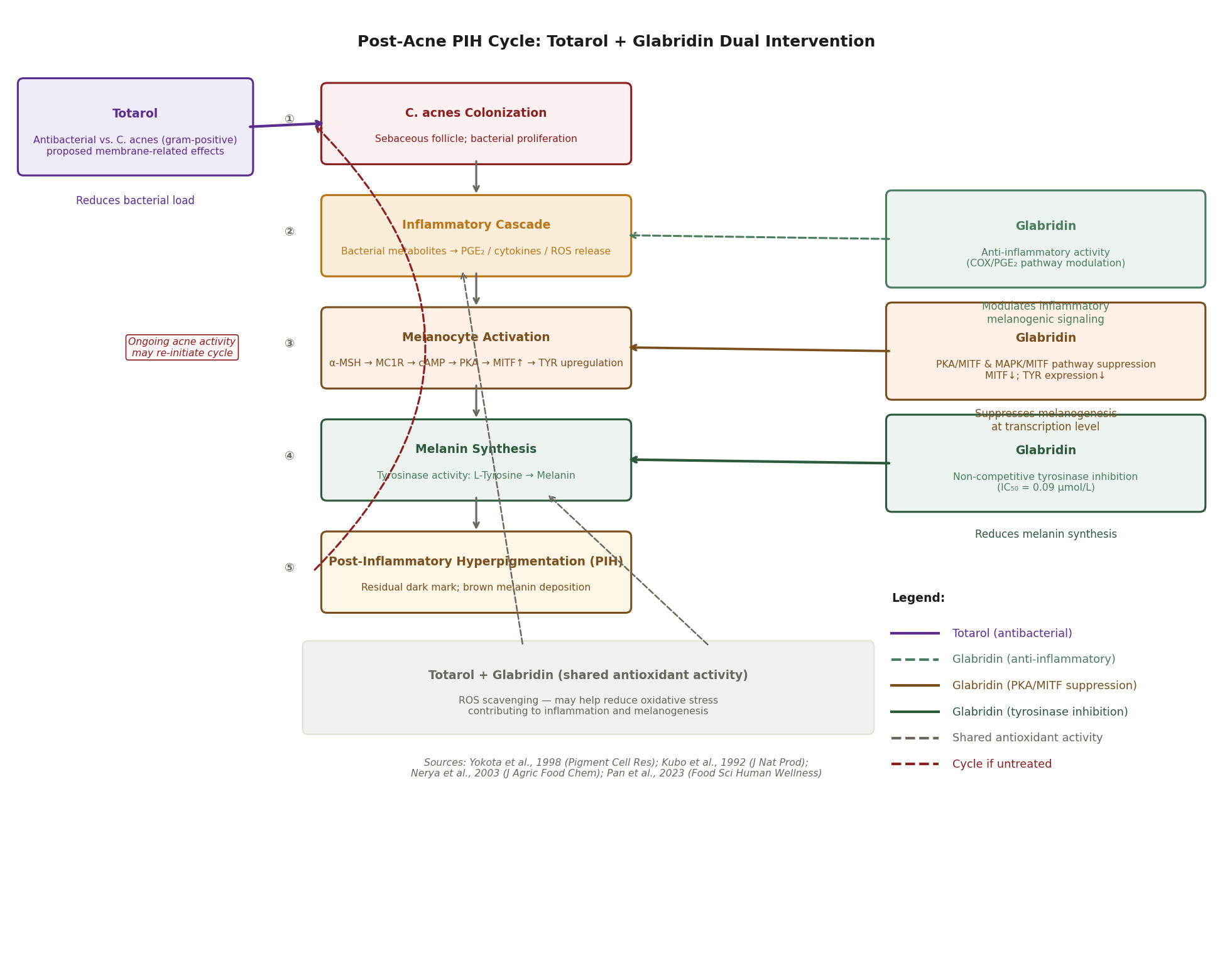 Diagramma che mostra il ciclo PIH post-acne dalla colonizzazione di C. acnes attraverso la cascata infiammatoria, l'attivazione dei melanociti (MITF), la sintesi della melanina fino alla PIH, con Totarol che interviene allo stadio batterico e Glabridina che interviene agli stadi infiammatorio, PKA/MITF e tirosinasi