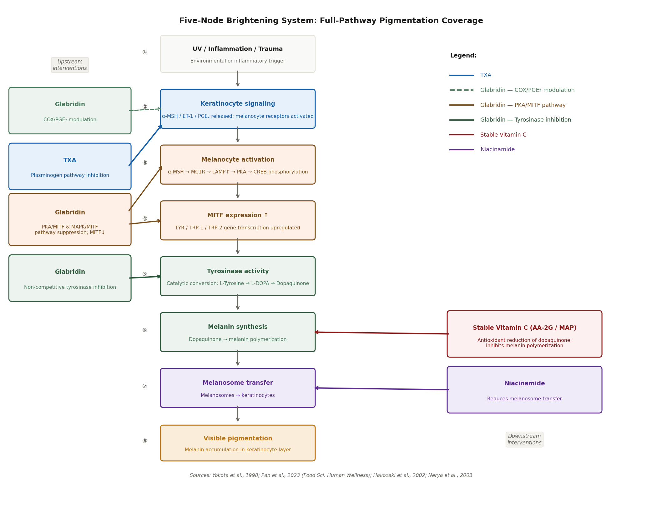 Five-node brightening system diagram showing the complete melanogenesis pathway from UV/inflammation stimulus through keratinocyte signaling, melanocyte activation (MITF), tyrosinase activity, melanin synthesis, and melanosome transfer, with glabridin and TXA intervention points marked